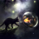 Illustration for article titled My God, Its Full Of Cats! The Very Best Artwork Of Cats In Space